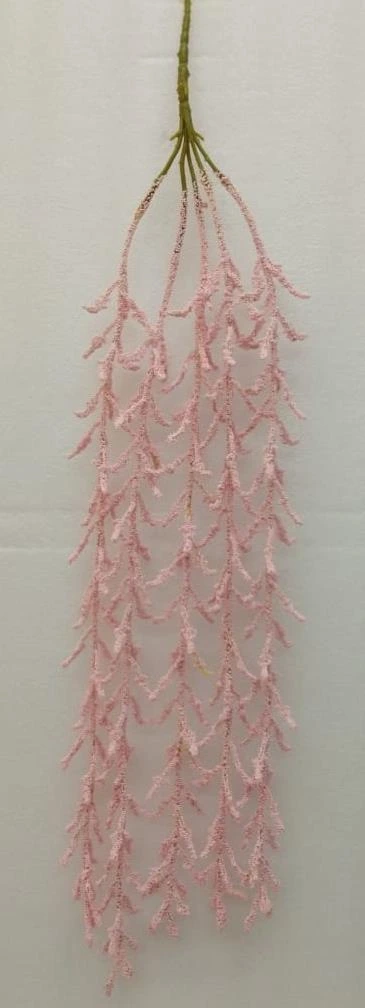 Foam Amaranthus Creeper x5